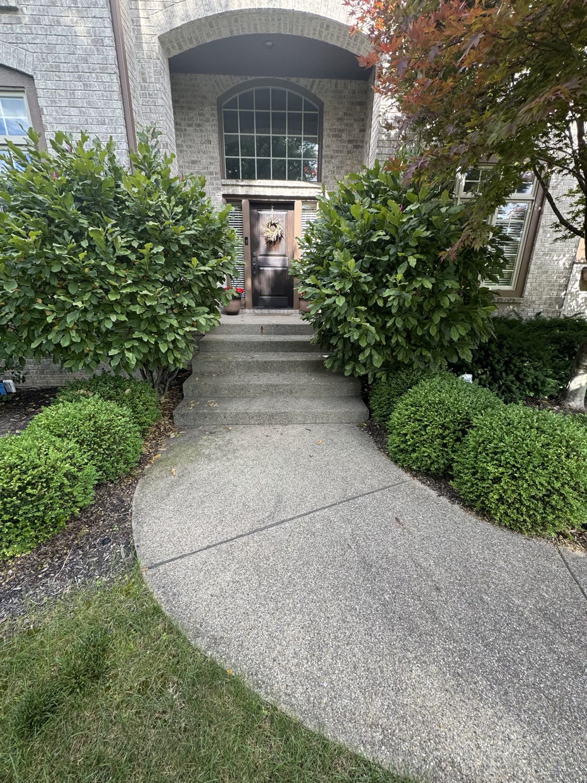 Backyard patio and landscaping
